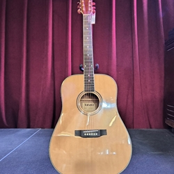 TSD100ENT Tanara Acoustic Dreadnought  EQ